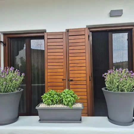 Flaburiotis House *